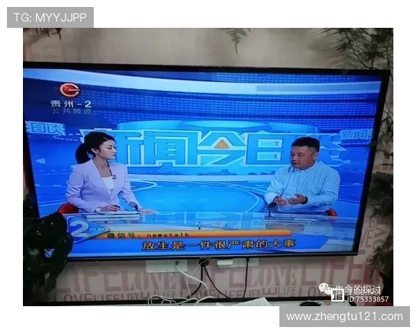 安徽公共频道高清直播在线观看精彩内容